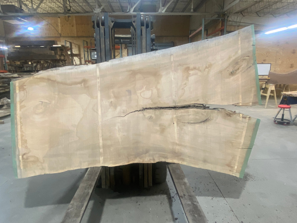 Silver Maple (1730) 105&quot; L x 40-61&quot; W x 3&quot; T