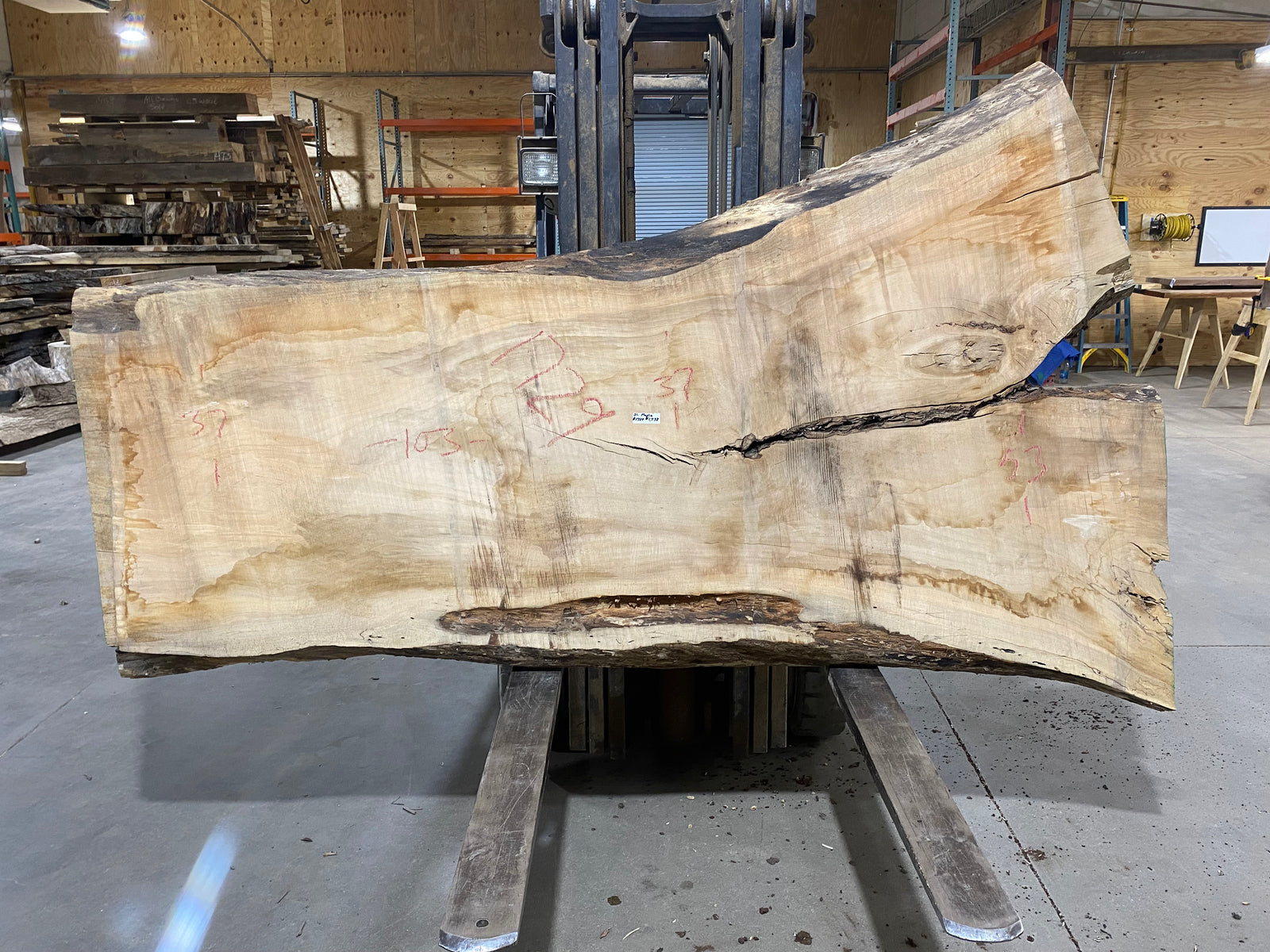 Silver Maple (1729) 103" L x 37-53" W x 3" T