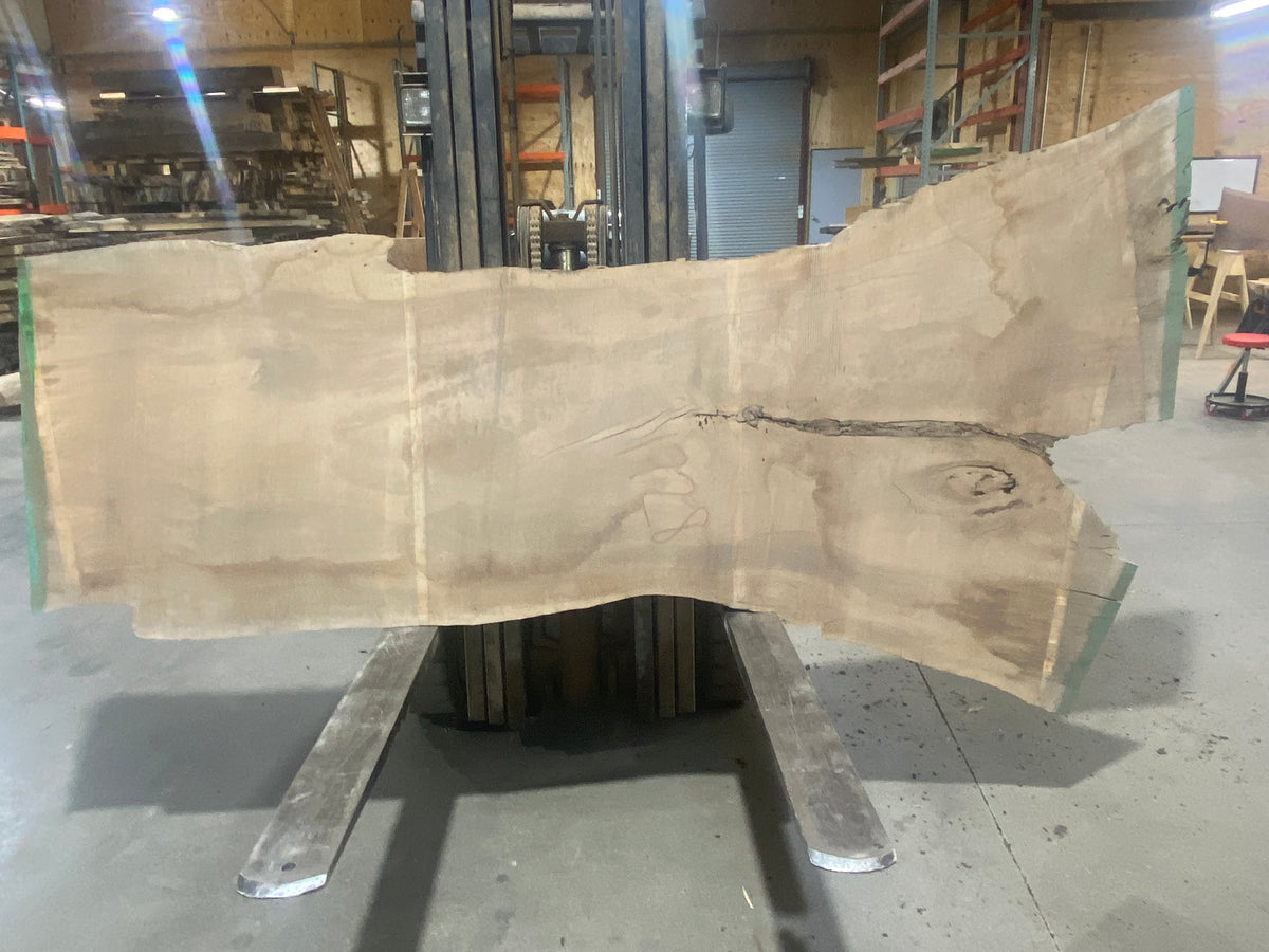 Silver Maple (1728) 104&quot; L x 29-48&quot; W x 3&quot; T