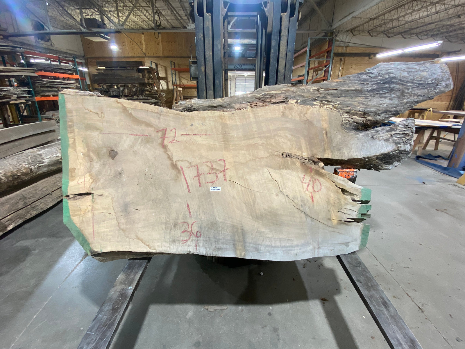 Silver Maple (1737) 72" L x 36-40" W x 3" T