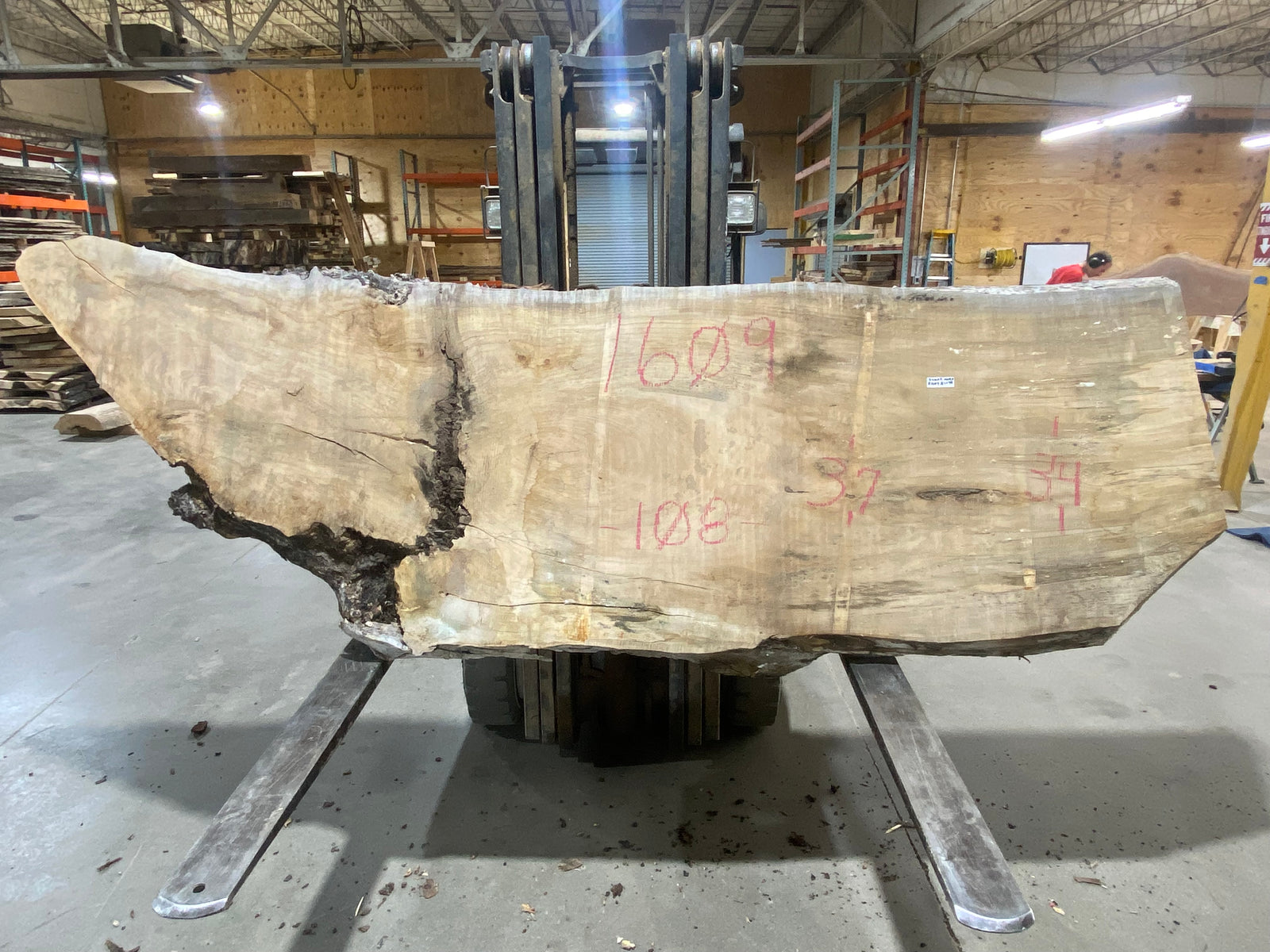 Sugar Maple (1609) 108" L x 34-37" W x 3" T