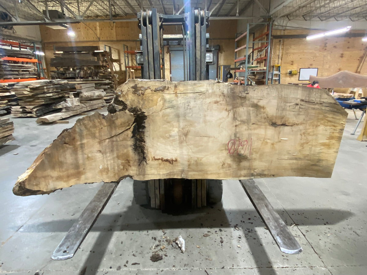 Sugar Maple (1610) 101&quot; L x 30-35&quot; W x 3&quot; T